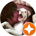 Nisala Nayanatha profile picture